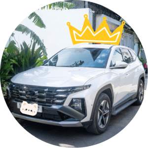 TucsonDiaryLogo
